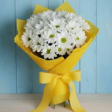 Букет цветов из:  Хризантемы #REPLACE_PRED# Шишовке