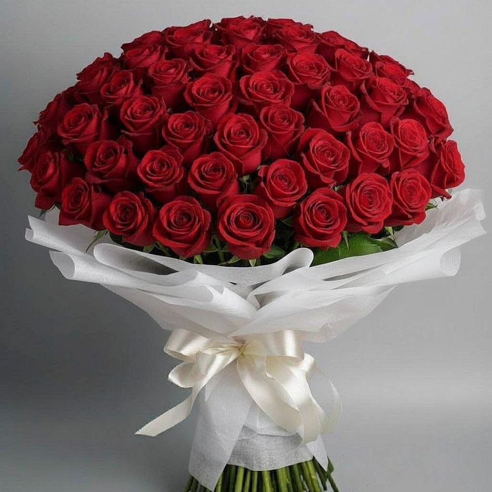 Букет 101 Красная роза Блэк Мэджик в Шишовке