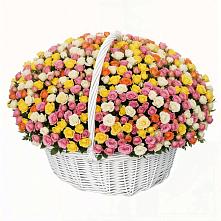 Премиум букет из: Розы в Шишовке