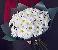 Букет цветов из:  Хризантемы #REPLACE_PRED# Шишовке