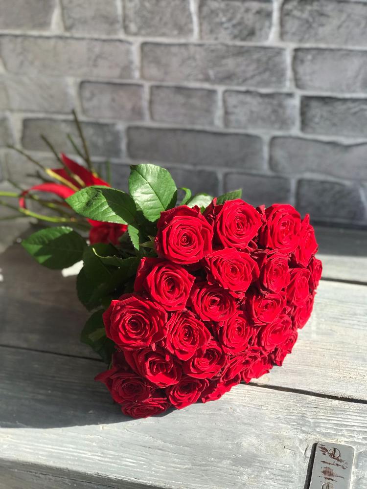 Букет Красные розы Фридом в Шишовке
