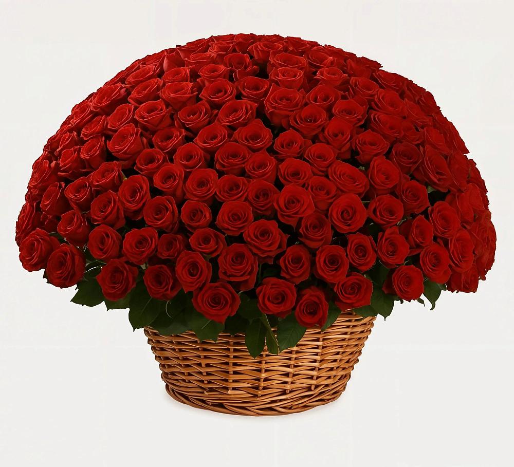 Премиум букет из: Розы в Шишовке