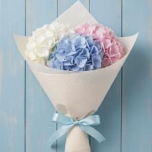 Букет цветов из:  Гортензия в Шишовке
