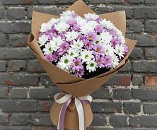 Букет цветов из:  Хризантемы #REPLACE_PRED# Шишовке