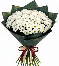 Букет цветов из:  Хризантемы в Шишовке