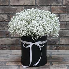 Цветочная композиция из Гипсофила в шляпной коробке #REPLACE_PRED# Шишовке