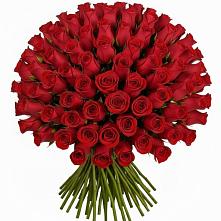 Букет Красные розы Чери Лав #REPLACE_PRED# Шишовке