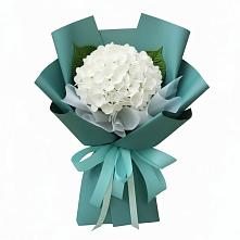 Букет цветов из:  Гортензия в Шишовке